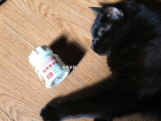 OurPet 奧沛 貓用膚沛錠評價,貓咪皮膚保健品推薦,貓咪掉毛怎麼辦,貓咪皮屑多,奧沛貓用膚沛錠,奧沛膚沛錠,OurPet奧沛,奧沛貓保養品,奧沛貓用膚沛錠評價,奧沛dcard,貓咪皮膚保養,貓咪皮膚保健ptt,貓咪皮膚保健食品dcard,貓咪皮膚保健食品,貓皮膚益生菌dcard,貓咪皮膚益生菌推薦,寵物皮膚益生菌推薦,貓咪抓癢掉毛,貓咪一直抓癢dcard,貓咪魚油dcard