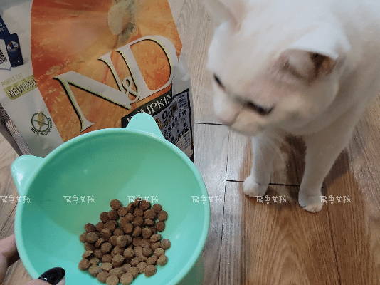 法米納評價, Petzoo飼料評價, 法米納心得, 法米納飼料dcard, 南瓜系列飼料適口性, 大品牌飼料心得, 義大利寵物飼料推薦, 寵物吃南瓜好處, 南瓜飼料開箱, 寵物機能飼料推薦, WDJ狗飼料開箱, 高肉含量寵糧推薦, 挑嘴貓吃南瓜嗎, 南瓜飼料分享, 無穀天然寵糧開箱, 義大利原裝進口,法米納貓飼料,法米納貓飼料dcard,法米納貓飼料ptt,法米納羊肉藍莓 PTT,法米納貓飼料推薦,法米納 南瓜,法米納 羊肉藍莓,法米納羊肉藍莓dcard