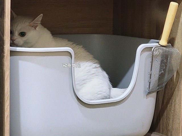 MEITU法米納評價, Petzoo飼料評價, 法米納心得, 法米納飼料dcard, 南瓜系列飼料適口性, 大品牌飼料心得, 義大利寵物飼料推薦, 寵物吃南瓜好處, 南瓜飼料開箱, 寵物機能飼料推薦, WDJ狗飼料開箱, 高肉含量寵糧推薦, 挑嘴貓吃南瓜嗎, 南瓜飼料分享, 無穀天然寵糧開箱, 義大利原裝進口,法米納貓飼料,法米納貓飼料dcard,法米納貓飼料ptt,法米納羊肉藍莓 PTT,法米納貓飼料推薦,法米納 南瓜,法米納 羊肉藍莓,法米納羊肉藍莓dcard