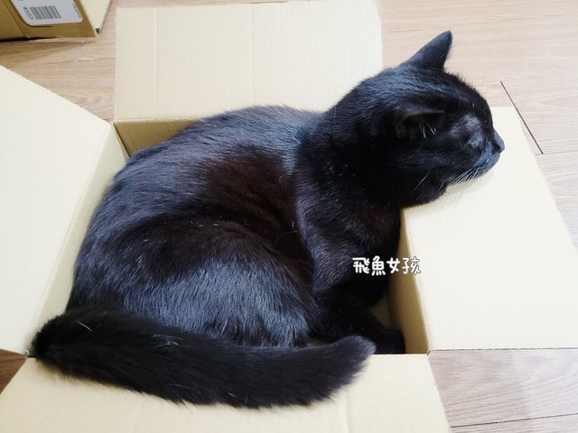 法米納評價, Petzoo飼料評價, 法米納心得, 法米納飼料dcard, 南瓜系列飼料適口性, 大品牌飼料心得, 義大利寵物飼料推薦, 寵物吃南瓜好處, 南瓜飼料開箱, 寵物機能飼料推薦, WDJ狗飼料開箱, 高肉含量寵糧推薦, 挑嘴貓吃南瓜嗎, 南瓜飼料分享, 無穀天然寵糧開箱, 義大利原裝進口,法米納貓飼料,法米納貓飼料dcard,法米納貓飼料ptt,法米納羊肉藍莓 PTT,法米納貓飼料推薦,法米納 南瓜,法米納 羊肉藍莓,法米納羊肉藍莓dcard