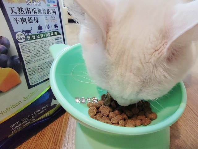 法米納評價, Petzoo飼料評價, 法米納心得, 法米納飼料dcard, 南瓜系列飼料適口性, 大品牌飼料心得, 義大利寵物飼料推薦, 寵物吃南瓜好處, 南瓜飼料開箱, 寵物機能飼料推薦, WDJ狗飼料開箱, 高肉含量寵糧推薦, 挑嘴貓吃南瓜嗎, 南瓜飼料分享, 無穀天然寵糧開箱, 義大利原裝進口,法米納貓飼料,法米納貓飼料dcard,法米納貓飼料ptt,法米納羊肉藍莓 PTT,法米納貓飼料推薦,法米納 南瓜,法米納 羊肉藍莓,法米納羊肉藍莓dcard
