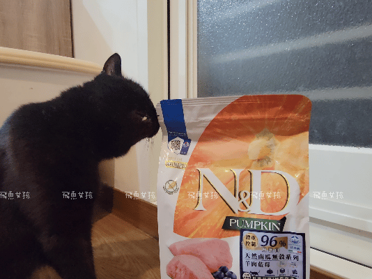 法米納評價, Petzoo飼料評價, 法米納心得, 法米納飼料dcard, 南瓜系列飼料適口性, 大品牌飼料心得, 義大利寵物飼料推薦, 寵物吃南瓜好處, 南瓜飼料開箱, 寵物機能飼料推薦, WDJ狗飼料開箱, 高肉含量寵糧推薦, 挑嘴貓吃南瓜嗎, 南瓜飼料分享, 無穀天然寵糧開箱, 義大利原裝進口,法米納貓飼料,法米納貓飼料dcard,法米納貓飼料ptt,法米納羊肉藍莓 PTT,法米納貓飼料推薦,法米納 南瓜,法米納 羊肉藍莓,法米納羊肉藍莓dcard