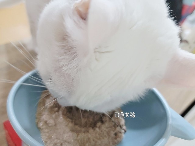 優固倍Yakupet ,日本獸醫 ,寵物長壽 ,寵物關節保健食品 ,寵物保健品 ,寵物營養 ,狗狗關節保養 ,貓咪關節保養 ,綠唇貽貝 ,天然NMN ,褐藻醣膠 ,仙度瑞拉益生菌 ,菊苣纖維 ,老貓 ,老狗,優固倍評價,優固關評價,寵物關節保養推薦,貓咪關節保健ptt,貓咪關節保健dcard,貓優固關,優固倍 寵物,