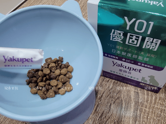 優固倍Yakupet ,日本獸醫 ,寵物長壽 ,寵物關節保健食品 ,寵物保健品 ,寵物營養 ,狗狗關節保養 ,貓咪關節保養 ,綠唇貽貝 ,天然NMN ,褐藻醣膠 ,仙度瑞拉益生菌 ,菊苣纖維 ,老貓 ,老狗,優固倍評價,優固關評價,寵物關節保養推薦,貓咪關節保健ptt,貓咪關節保健dcard,貓優固關,優固倍 寵物,