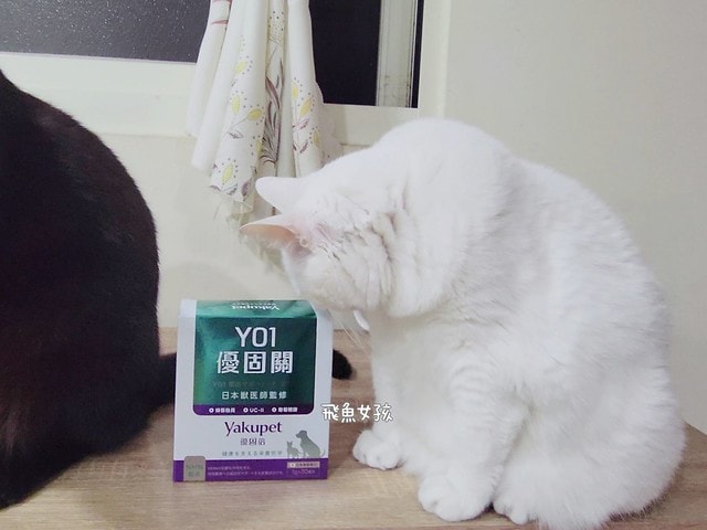 優固倍Yakupet ,日本獸醫 ,寵物長壽 ,寵物關節保健食品 ,寵物保健品 ,寵物營養 ,狗狗關節保養 ,貓咪關節保養 ,綠唇貽貝 ,天然NMN ,褐藻醣膠 ,仙度瑞拉益生菌 ,菊苣纖維 ,老貓 ,老狗,優固倍評價,優固關評價,寵物關節保養推薦,貓咪關節保健ptt,貓咪關節保健dcard,貓優固關,優固倍 寵物,