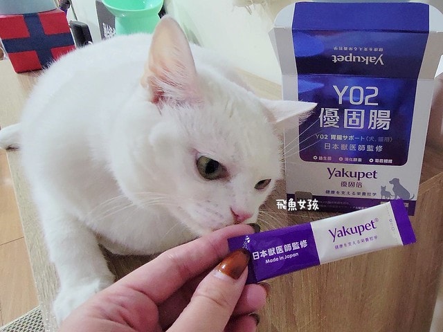 優固倍Yakupet,日本獸醫,日本製造,寵物長壽,犬貓腸胃保健,益生菌保健品,寵物保健食品,毛孩腸道保養,腸道益菌,日本專利益生菌,日本褐藻醣膠,菊苣纖維,寵物腸胃照護,優固倍評價,優固倍 寵物,優固倍 離胺酸,貓咪益生菌推薦,貓咪益生菌dcard,日本 寵物保養品 dcard,日本寵物用品必買