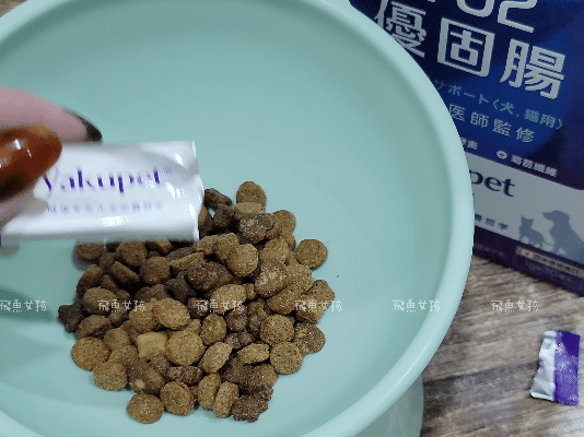 優固倍Yakupet,日本獸醫,日本製造,寵物長壽,犬貓腸胃保健,益生菌保健品,寵物保健食品,毛孩腸道保養,腸道益菌,日本專利益生菌,日本褐藻醣膠,菊苣纖維,寵物腸胃照護,優固倍評價,優固倍 寵物,優固倍 離胺酸,貓咪益生菌推薦,貓咪益生菌dcard,日本 寵物保養品 dcard,日本寵物用品必買