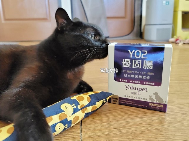 優固倍Yakupet,日本獸醫,日本製造,寵物長壽,犬貓腸胃保健,益生菌保健品,寵物保健食品,毛孩腸道保養,腸道益菌,日本專利益生菌,日本褐藻醣膠,菊苣纖維,寵物腸胃照護,優固倍評價,優固倍 寵物,優固倍 離胺酸,貓咪益生菌推薦,貓咪益生菌dcard,日本 寵物保養品 dcard,日本寵物用品必買