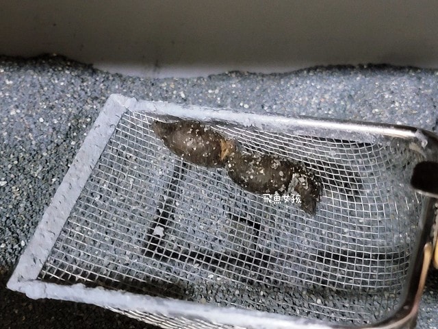 優固倍Yakupet,日本獸醫,日本製造,寵物長壽,犬貓腸胃保健,益生菌保健品,寵物保健食品,毛孩腸道保養,腸道益菌,日本專利益生菌,日本褐藻醣膠,菊苣纖維,寵物腸胃照護,優固倍評價,優固倍 寵物,優固倍 離胺酸,貓咪益生菌推薦,貓咪益生菌dcard,日本 寵物保養品 dcard,日本寵物用品必買