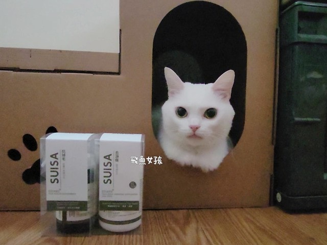 SUISA評價,SUISA去淚痕評價,SUISA抗掉毛評價,人氣寵物保健品推薦,狗貓營養補充品推薦,寵物日常保健推薦,寵物淚腺分泌保養,寵物淚痕改善分享,寵物淚痕保養推薦,寵物掉毛保養分享,寵物換季保養分享,寵物皮毛保健吃什麼,suisa 蘇 依 沙,suisa dcard,蘇依沙dcard,蘇依沙ptt,suisa 肉 球,suisa 蘇 依 沙 貓,寵物醫藥箱suisa,蘇依沙評價