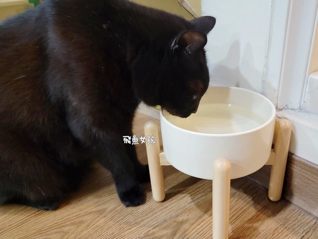 SUISA評價,SUISA去淚痕評價,SUISA抗掉毛評價,人氣寵物保健品推薦,狗貓營養補充品推薦,寵物日常保健推薦,寵物淚腺分泌保養,寵物淚痕改善分享,寵物淚痕保養推薦,寵物掉毛保養分享,寵物換季保養分享,寵物皮毛保健吃什麼,suisa 蘇 依 沙,suisa dcard,蘇依沙dcard,蘇依沙ptt,suisa 肉 球,suisa 蘇 依 沙 貓,寵物醫藥箱suisa,蘇依沙評價