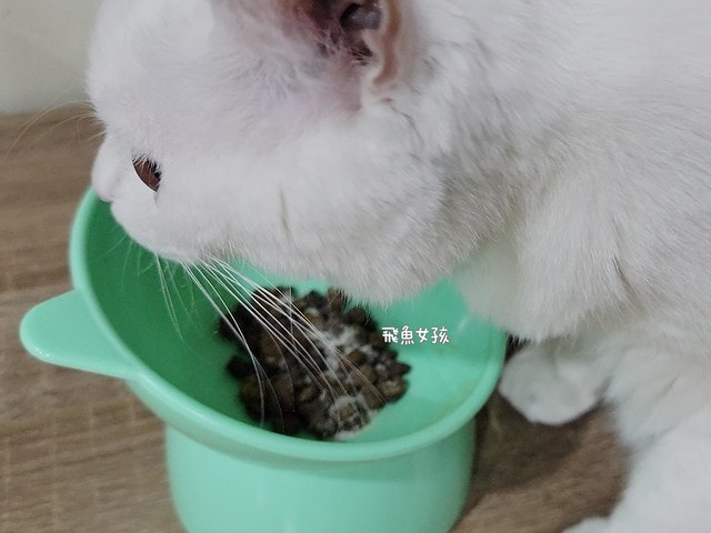 SUISA評價,SUISA去淚痕評價,SUISA抗掉毛評價,人氣寵物保健品推薦,狗貓營養補充品推薦,寵物日常保健推薦,寵物淚腺分泌保養,寵物淚痕改善分享,寵物淚痕保養推薦,寵物掉毛保養分享,寵物換季保養分享,寵物皮毛保健吃什麼,suisa 蘇 依 沙,suisa dcard,蘇依沙dcard,蘇依沙ptt,suisa 肉 球,suisa 蘇 依 沙 貓,寵物醫藥箱suisa,蘇依沙評價