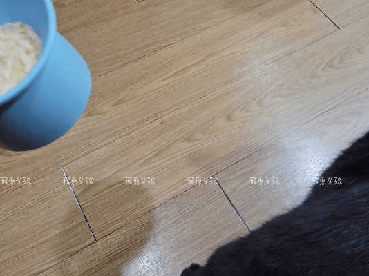 撇步PETBO寵物評價,撇步PETBO熱銷推薦,撇步PETBO寵物保健,撇步PETBO寵物使用心得,毛孩保健開箱,全齡貓益生菌心得,貓專利益生菌分享,貓粉狀益生菌怎麼餵,高適口性貓益生菌實測,挑嘴貓愛吃益生菌,貓粉狀益生菌分享,多重專利貓益生菌ptt,粉狀貓益生菌心得,PETBO貓,PETBO 狗,貓咪益生菌怎麼吃,貓咪益生菌dcard,貓咪益生菌ptt,貓咪益生菌推薦ptt,貓咪益生菌多久吃一次,貓咪便秘益生菌推薦dcard,貓便秘益生菌ptt