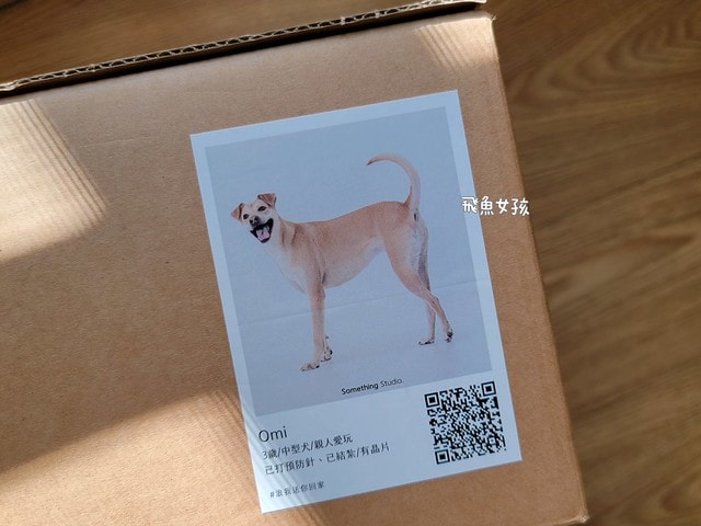 撇步PETBO寵物評價,撇步PETBO熱銷推薦,撇步PETBO寵物保健,撇步PETBO寵物使用心得,毛孩保健開箱,全齡貓益生菌心得,貓專利益生菌分享,貓粉狀益生菌怎麼餵,高適口性貓益生菌實測,挑嘴貓愛吃益生菌,貓粉狀益生菌分享,多重專利貓益生菌ptt,粉狀貓益生菌心得,PETBO貓,PETBO 狗,貓咪益生菌怎麼吃,貓咪益生菌dcard,貓咪益生菌ptt,貓咪益生菌推薦ptt,貓咪益生菌多久吃一次,貓咪便秘益生菌推薦dcard,貓便秘益生菌ptt