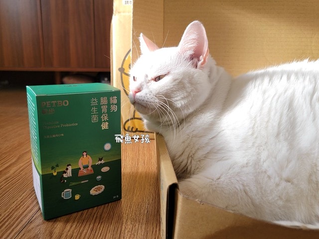 撇步PETBO寵物評價,撇步PETBO熱銷推薦,撇步PETBO寵物保健,撇步PETBO寵物使用心得,毛孩保健開箱,全齡貓益生菌心得,貓專利益生菌分享,貓粉狀益生菌怎麼餵,高適口性貓益生菌實測,挑嘴貓愛吃益生菌,貓粉狀益生菌分享,多重專利貓益生菌ptt,粉狀貓益生菌心得,PETBO貓,PETBO 狗,貓咪益生菌怎麼吃,貓咪益生菌dcard,貓咪益生菌ptt,貓咪益生菌推薦ptt,貓咪益生菌多久吃一次,貓咪便秘益生菌推薦dcard,貓便秘益生菌ptt