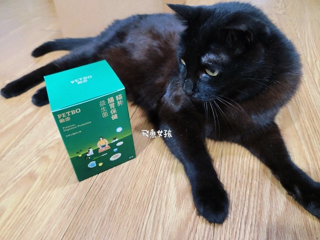 撇步PETBO寵物評價,撇步PETBO熱銷推薦,撇步PETBO寵物保健,撇步PETBO寵物使用心得,毛孩保健開箱,全齡貓益生菌心得,貓專利益生菌分享,貓粉狀益生菌怎麼餵,高適口性貓益生菌實測,挑嘴貓愛吃益生菌,貓粉狀益生菌分享,多重專利貓益生菌ptt,粉狀貓益生菌心得,PETBO貓,PETBO 狗,貓咪益生菌怎麼吃,貓咪益生菌dcard,貓咪益生菌ptt,貓咪益生菌推薦ptt,貓咪益生菌多久吃一次,貓咪便秘益生菌推薦dcard,貓便秘益生菌ptt