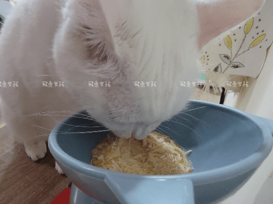 撇步PETBO寵物評價,撇步PETBO熱銷推薦,撇步PETBO寵物保健,撇步PETBO寵物使用心得,毛孩保健開箱,全齡貓益生菌心得,貓專利益生菌分享,貓粉狀益生菌怎麼餵,高適口性貓益生菌實測,挑嘴貓愛吃益生菌,貓粉狀益生菌分享,多重專利貓益生菌ptt,粉狀貓益生菌心得,PETBO貓,PETBO 狗,貓咪益生菌怎麼吃,貓咪益生菌dcard,貓咪益生菌ptt,貓咪益生菌推薦ptt,貓咪益生菌多久吃一次,貓咪便秘益生菌推薦dcard,貓便秘益生菌ptt