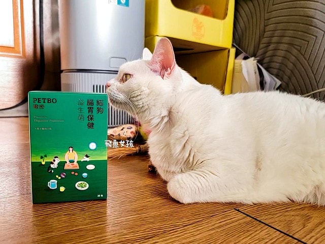 撇步PETBO寵物評價,撇步PETBO熱銷推薦,撇步PETBO寵物保健,撇步PETBO寵物使用心得,毛孩保健開箱,全齡貓益生菌心得,貓專利益生菌分享,貓粉狀益生菌怎麼餵,高適口性貓益生菌實測,挑嘴貓愛吃益生菌,貓粉狀益生菌分享,多重專利貓益生菌ptt,粉狀貓益生菌心得,PETBO貓,PETBO 狗,貓咪益生菌怎麼吃,貓咪益生菌dcard,貓咪益生菌ptt,貓咪益生菌推薦ptt,貓咪益生菌多久吃一次,貓咪便秘益生菌推薦dcard,貓便秘益生菌ptt