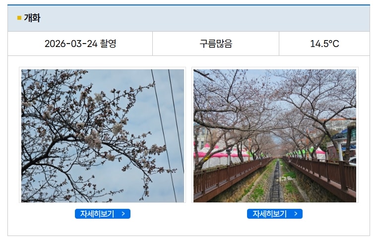 韓國資訊。【2026 韓國櫻花全攻略】最新開花時間預測!韓國櫻花預測與賞櫻景點推薦懶人包 - 第3張圖 韓國資訊。【2026 韓國櫻花全攻略】最新開花時間預測!韓國櫻花預測與賞櫻景點推薦懶人包